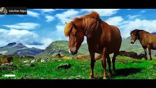 Download lagu #mera#man#kyu#tume#chahe#flute#ringtone|| mera maan kyu tume chahe sad status || mp3