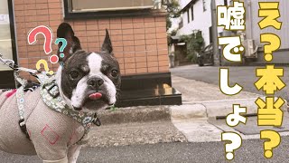 定期検診に行ったら閉店してた