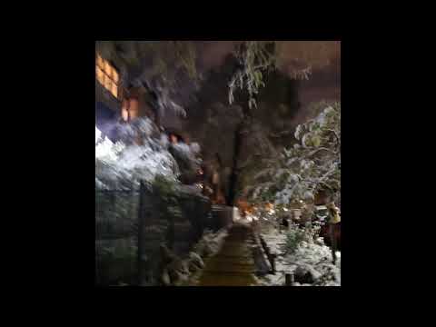 [sold] lil lotus x scum x 93feetofsmoke x nothing,nowhere. type beat (prod. nevrfall)