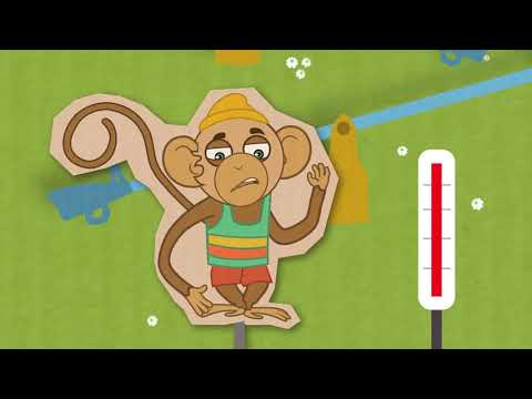 "ჟოზე მეგობარია" - მამინი და ვირუსი