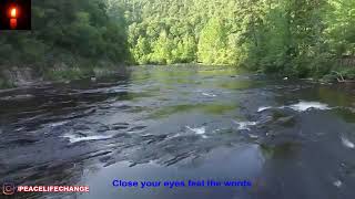 Download lagu Best Heart Touching lines and inspiring Quotes in Hindi   peace life change mp3