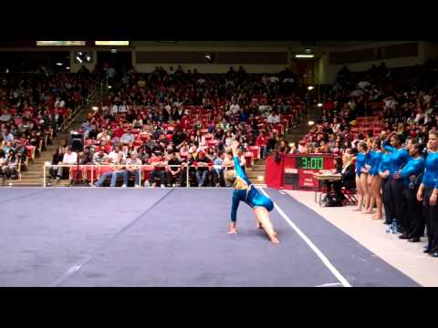 SJSU @ SUU 2/18/11 Floor