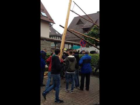 Maibaumstellen in Eisingen 2014