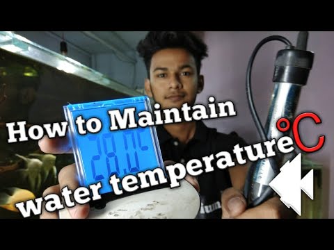 How to maintain Aquarium Water temperature in winters