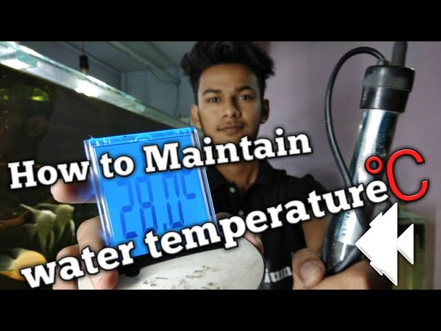 How to maintain Aquarium Water temperature in winters