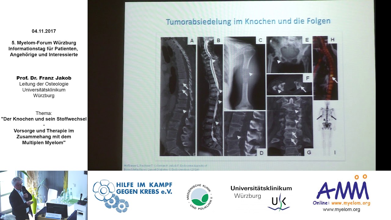 Der Knochen und sein Stoffwechsel - Vorsorge und Therapie
