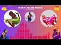 DIANA CHELELE SUPER MIX MIX OF THE DECADE