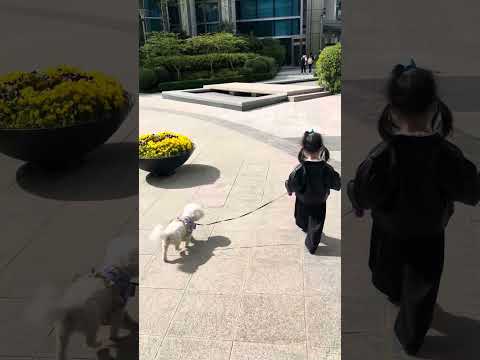 She always takes a walk with puppy 🐶 #clandy #dog #cutebaby #starheart