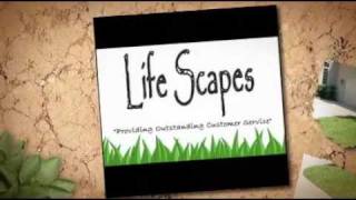 Lifescapes Landscaping Hilton Head Island