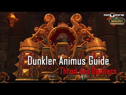Dunkler Animus (10/25) NHC Guide - Thron des Donners