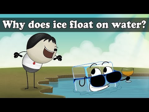 Why does ice float? | #aumsum