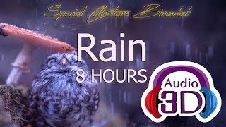 CHUVA 8 HORAS - AUDIO 3D - GRAVAÇÃO ORIGINAL - BINAURAL (TOTAL IMMERSION)