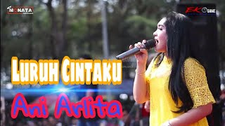 Download lagu Luruh Cintaku - Ani Arlita New MONATA pemalang mp3
