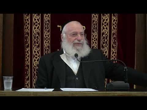 Rav Asher Weiss @TC: Baruch Shem Kevod Malchuso (Parshas Vayechi 5786)