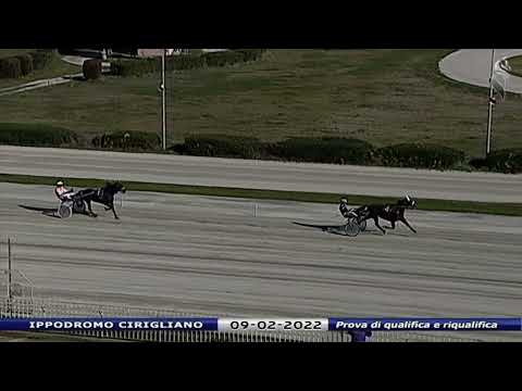 Aversa trotto 9 Febbraio 2022 - Prova di qualifica e riqualifica