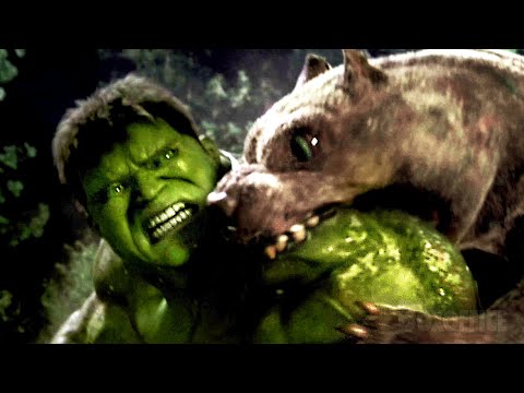 Hulk VS Hulk Dogs