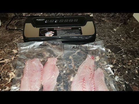 download lagu mp3 mp4 How To Vacuum Seal Fish Fillets, download lagu How To Vacuum Seal Fish Fillets gratis, unduh video klip How To Vacuum Seal Fish Fillets