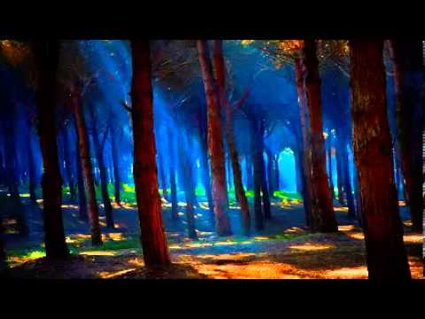 Cricket sound   8 hours of nature forest sounds full night relax meditation zen music