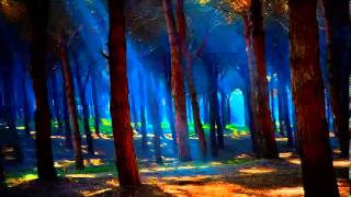 Cricket sound   8 hours of nature forest sounds full night relax meditation zen music