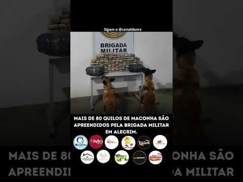 BRIGADA MILITAR APREENDE MAIS DE 80 QUILOS DE MACONHA EM OPERAÇÃO NO MUNICÍPIO DE ALECRIM