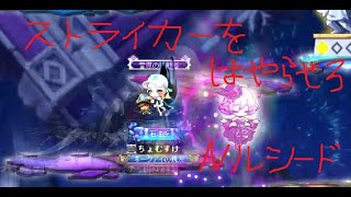 メイプルストーリー　Ｎルシードソロ　ストライカー