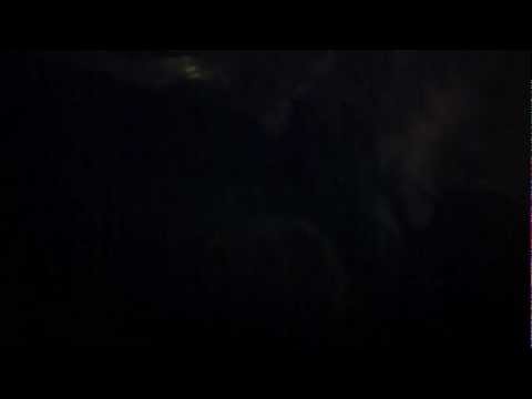 The Darks - Salta Canguro