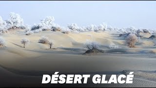 preview picture of video 'Le givre transforme ce désert chinois en un paysage féerique'