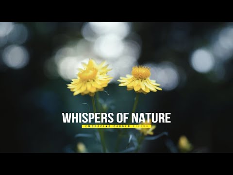 Summer Bliss : Blooming Gardens & Living Flowers 🌸🌼| Stress Relief Music, Sleep Music, Calming Music