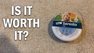Seresto Cat Collar Review - Is It Worth it?