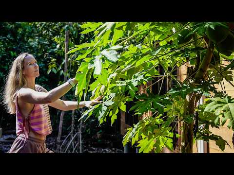 Garden harvests - Cooking with what we grow & simple routines of island life
