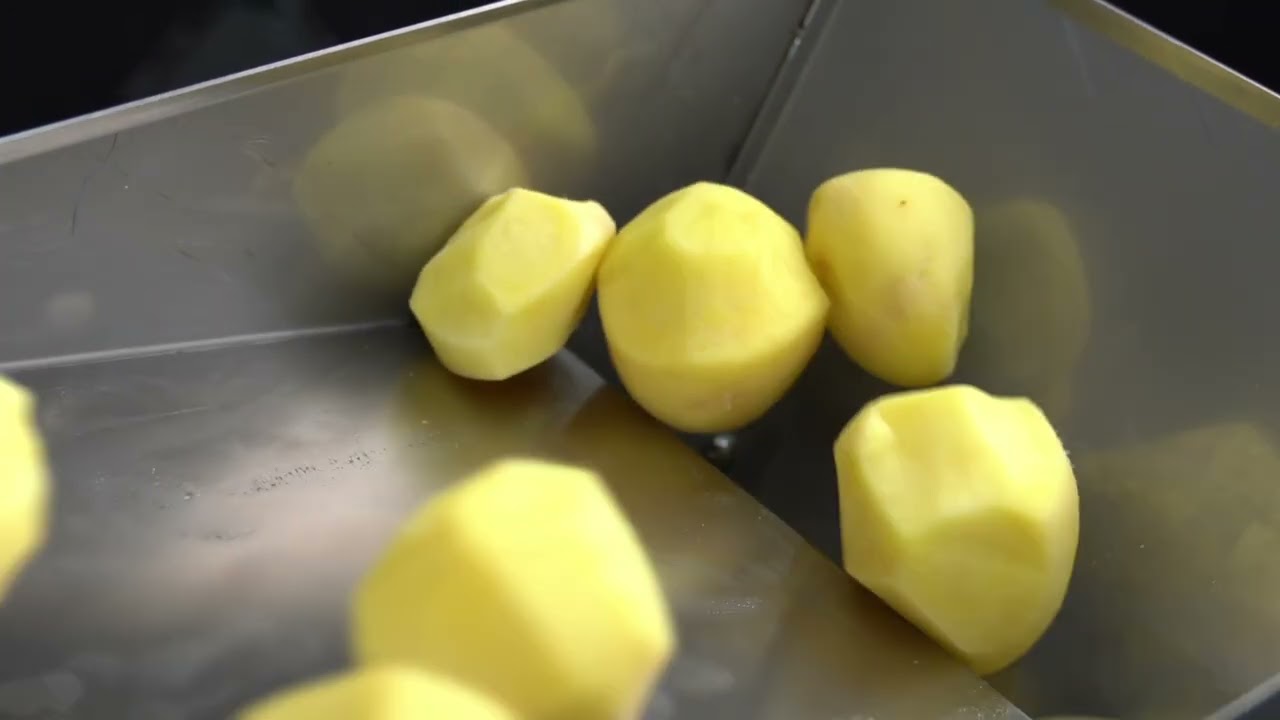 BOĞAZİÇİ POTATO DICING MACHINE