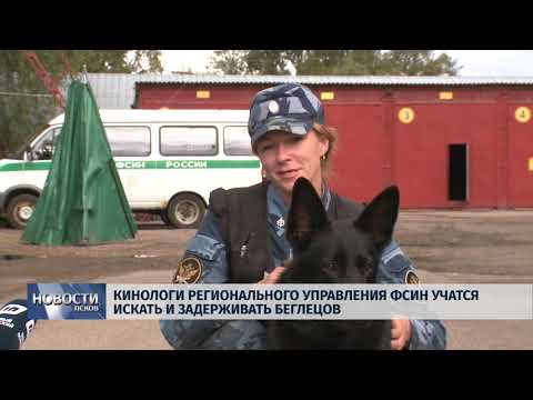 Новости Псков 14.08.2018 # Кинологи региональной ФСИН учатся искать и задерживать беглецов