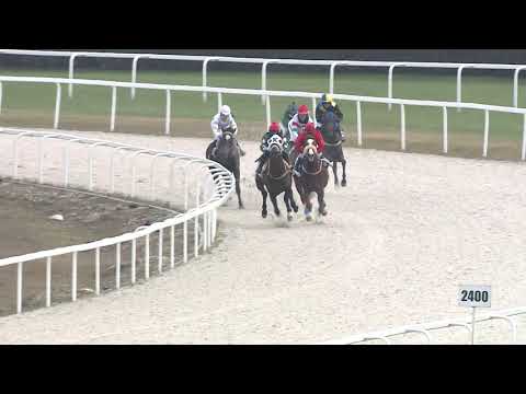 2020.12.13. 03. futam - LORD DERBY EMLÉKVERSENY HENDIKEP (V.o.)(szintetikus pálya)