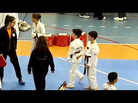 Ahmet sarı gsk Aslanları