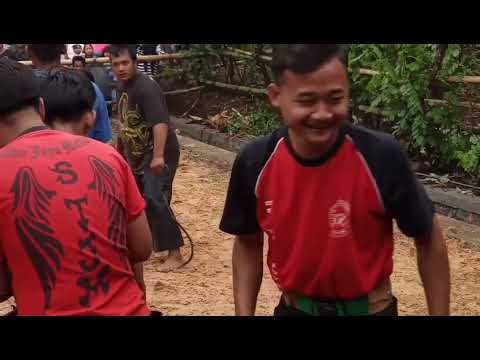 download lagu mp3 mp4 Stjm, download lagu Stjm gratis, unduh video klip Stjm