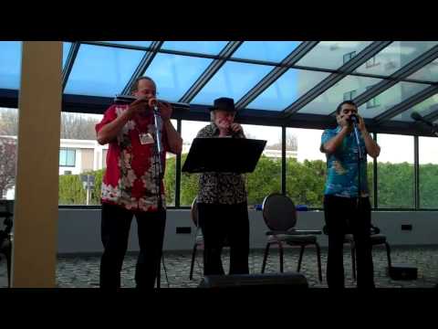 Harmaniacs Play "Metsakukia" at Garden State Harmonica Fest