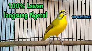 Download lagu Mozambik Gacor Speed Rapat NGEROL PEDAS untuk masteran. mp3