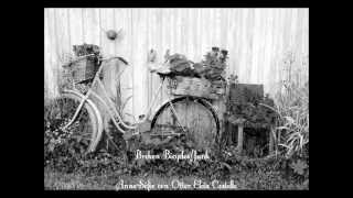 Broken Bicycles / Junk - Anne Sofie von Otter ＆ Elvis Costello