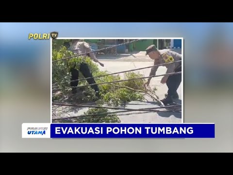 POLRESTA BANYUMAS EVAKUASI POHON TUMBANG
