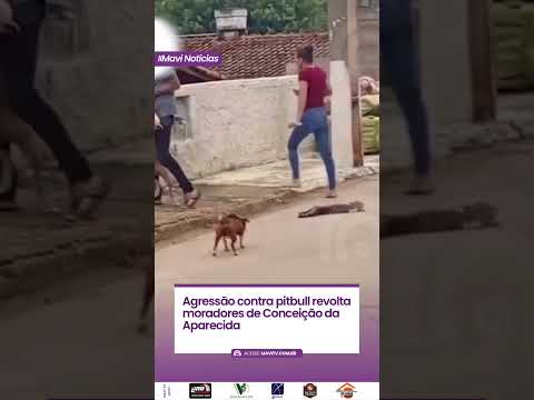 Agress@o contra pitbull revolta moradores de Conceição da Aparecida