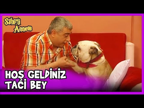 Taci Peri Olup Avni'nin Yanına Gitti - Sihirli Annem 58. Bölüm