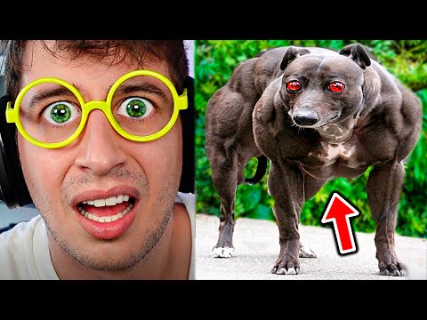 THIS DOG HAS A PROBLEM... (Things you DIDN'T KNOW 5 minutes ago)