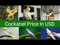 Top 10 Cockatiel Bird Price In USD