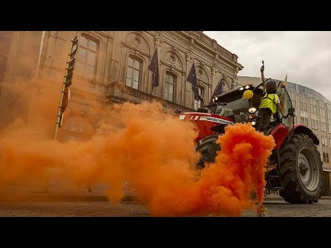 Mehr wie ein Sommerfest: Geringe Beteiligung bei von Rechts unterstütztem Bauernprotest in Brüssel