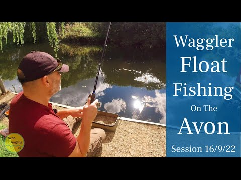 Float Fishing The River Avon - Mixed Bag On The Waggler - 16/9/22 (Video 346)