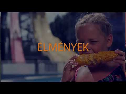ienet