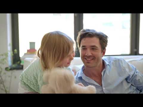 Blueair Blue Pure 411 Auto Small Room Air Purifier with Auto Mode for Allergies - silas lam