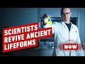 Scientists Revive 100-Million-Year-Old Lifeforms - IGN Now