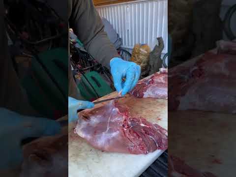 Everzwijnbout ontbenen Deboning wild boar leg