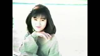 【第1030回】酒井法子